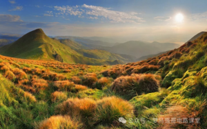 招不满！24年只刷3人，上线就要！-电气考研