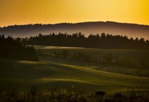复试不及格也能捞的良心学校？！-电气考研