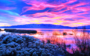 顶尖工科985，南网直通车！-电气考研