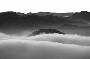 热门211，官方：25年报考减少117人！-电气考研