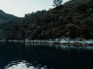 东北顶级985，学硕爆降49分，专硕爆降66分！-电气考研